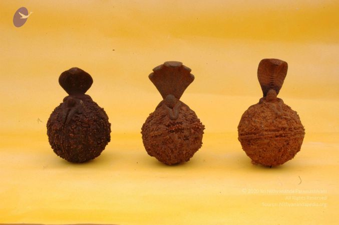 19780101 Photo 43 1xEB2SZV97Hhquz4mdDQvy saJaZKZOMe.jpg