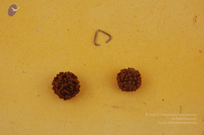 19780101 Photo 45 1aWPpnoy0CfxDSCNko1Rj-gsY62iKF97H.jpg