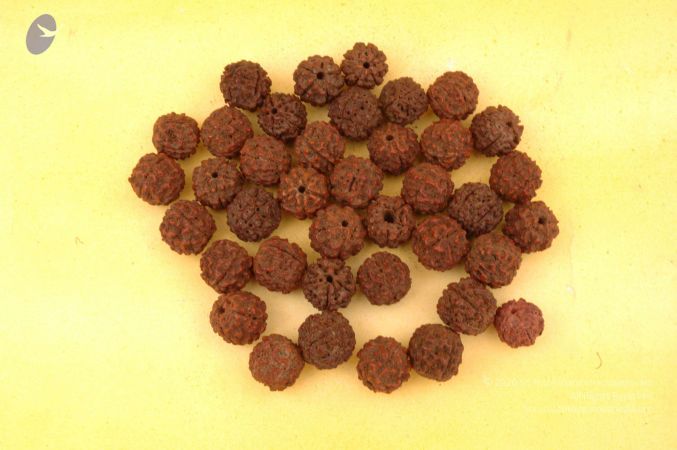 19780101 Photo 71 1-SS4iS0FhBcOEZ45 BZDQOq KgOTZ0T.jpg