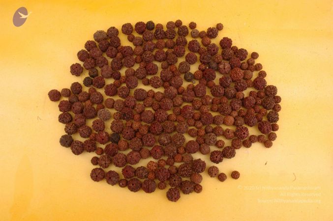 19780101 Photo 73 1stG lzZZBG27TQhGlAFM1Qe7DWxDOZ8D.jpg