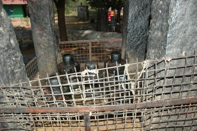 1981 PANCHAMUGAM DSC 7373-09.jpg