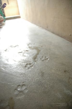 1988 - Tiruvoodal Street and AKS Complex35.jpg