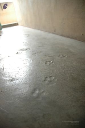 1988 - Tiruvoodal Street and AKS Complex41.jpg