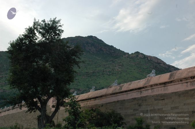 1989-GANESHA TiruvannamalaiTemple BanyanTreeGaneshaArea Nov2006 11-11.jpg