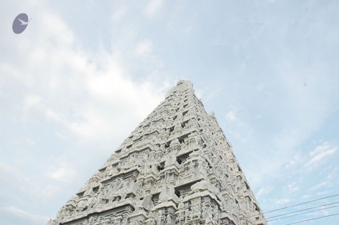 1989-GANESHA TiruvannamalaiTemple BanyanTreeGaneshaArea Nov2006 15-15.jpg