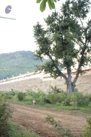 1989-GANESHA TiruvannamalaiTemple BanyanTreeGaneshaArea Nov2006 25-25.jpg