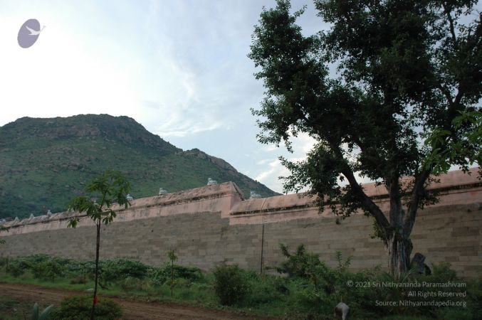 1989-GANESHA TiruvannamalaiTemple BanyanTreeGaneshaArea Nov2006 30-30.jpg