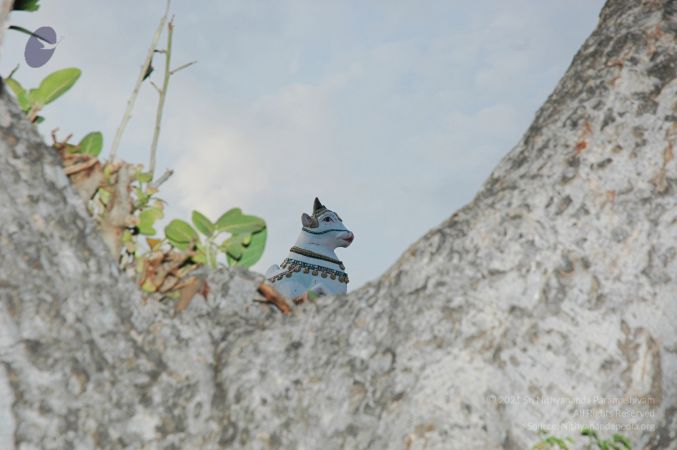 1989-GANESHA TiruvannamalaiTemple BanyanTreeGaneshaArea Nov2006 42-42.jpg