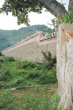 1989-GANESHA TiruvannamalaiTemple BanyanTreeGaneshaArea Nov2006 44-44.jpg