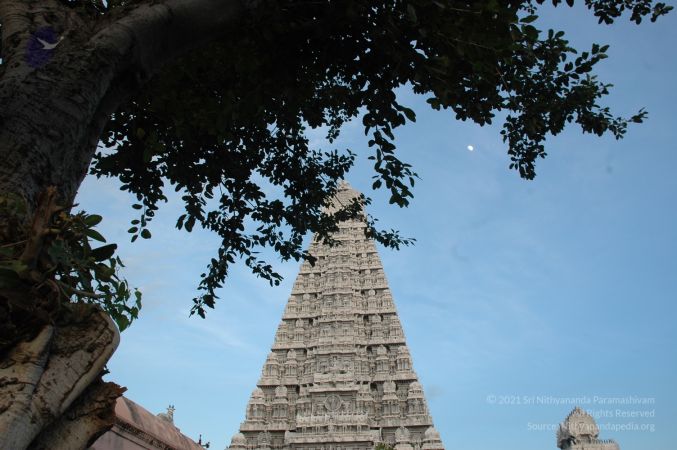 1989-GANESHA TiruvannamalaiTemple BanyanTreeGaneshaArea Nov2006 53-53.jpg