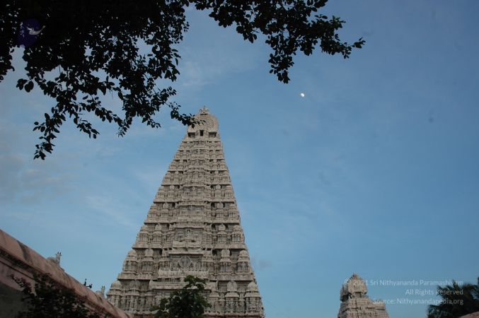 1989-GANESHA TiruvannamalaiTemple BanyanTreeGaneshaArea Nov2006 56-56.jpg