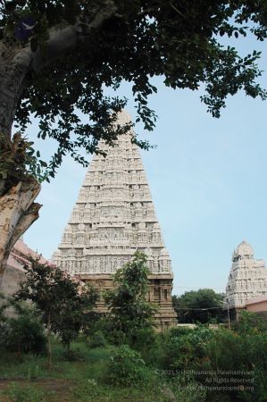 1989-GANESHA TiruvannamalaiTemple BanyanTreeGaneshaArea Nov2006 57-57.jpg