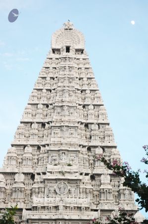 1989-GANESHA TiruvannamalaiTemple BanyanTreeGaneshaArea Nov2006 62-62.jpg