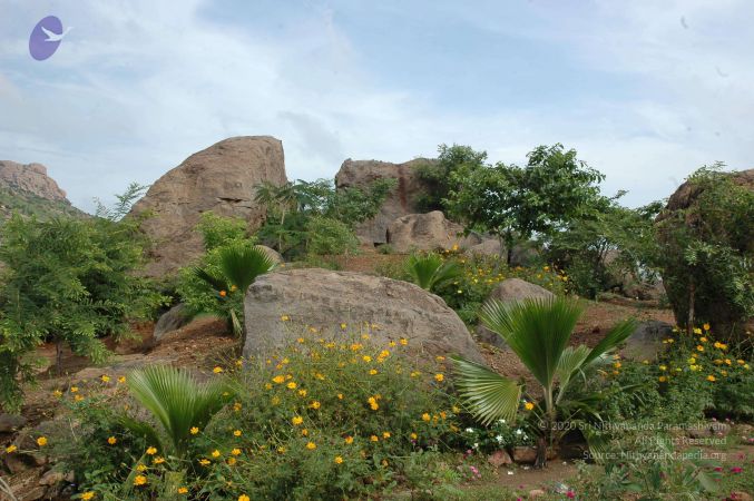 19890520 Photo 101 1PKyYnY- vhXQasppHsSU2M1CqvvAxhpE.jpg