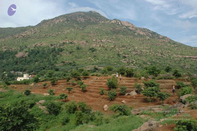 19890520 Photo 112 1pMHg9uS6LWYQbT8V0xlwW9PvyeF7e3kk.jpg