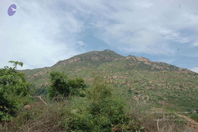 19890520 Photo 124 1vSQlRSgIk8C8hGd6CwK2DVjIIUNBZrkK.jpg