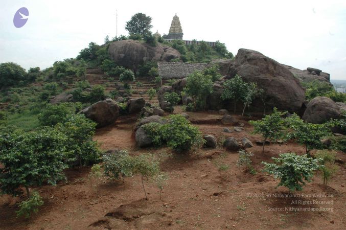 19890520 Photo 126 1Ueejj2DoOQWQ PGl5LdZqshtDOLhbY4V.jpg