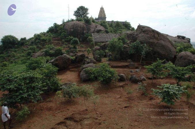 19890520 Photo 131 1 JIv6qyclukeU-CwmItlPwA qY9GieHk.jpg