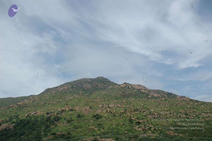 19890520 Photo 136 1skxSg-qARqJypZiWxmgF85OdOPHZUeAj.jpg