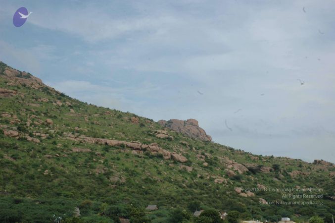 19890520 Photo 138 1SyzHJGm9rSAdtP7M3ZH3AIzcsGQDEIPK.jpg