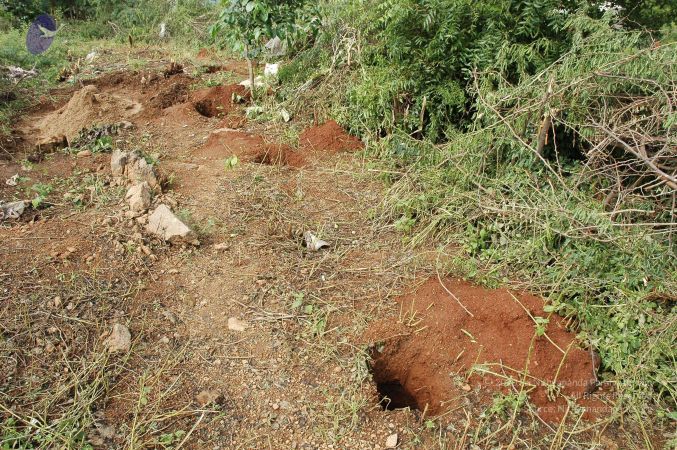 19890520 Photo 144 1nCxwJpzu3Q2uLGiTXG7O7tLDZhswYdtW.jpg