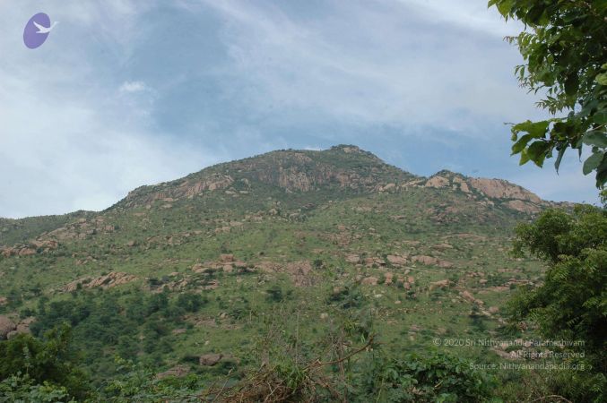 19890520 Photo 149 1Erf7t8ecA70GpxXzX8nmHrHmSAjtnT4J.jpg