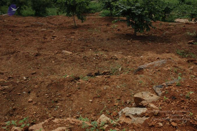 19890520 Photo 152 1riaeh6wz7PgX5a71y1PjLUI7FbOUOBXU.jpg