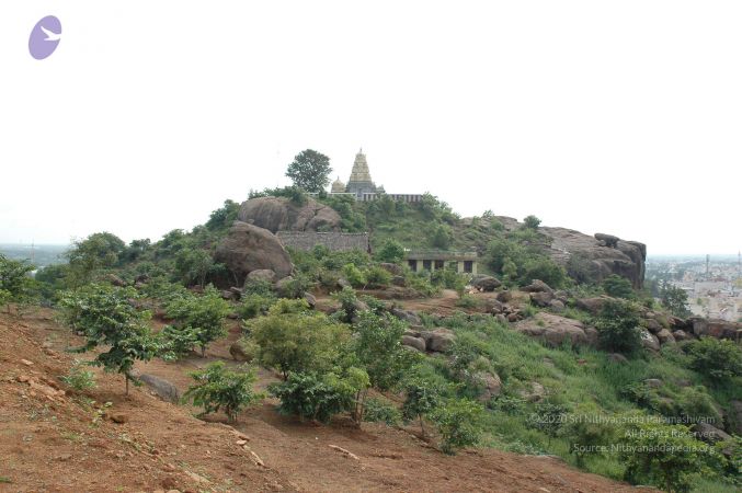 19890520 Photo 156 11Mi-OUctCf8QgvzRaljIIIO2J4GwZZ4z.jpg