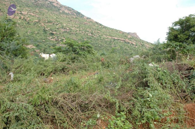 19890520 Photo 157 1mSqtrqCqK4kV57M5I44SHyNurAxbJlAD.jpg