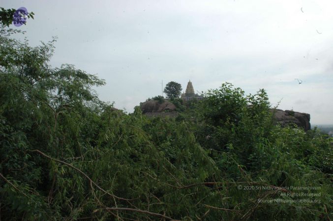 19890520 Photo 163 1LIcF d5YySCKlZ0KQIl7uNoSBI5Z-0 N.jpg