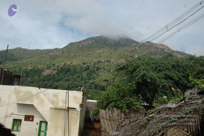 19890520 Photo 166 1h-F1O7smuPdOo0RMcLDP3Gysu1muvSpf.jpg