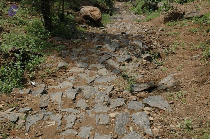 19890520 Photo 16 1ZT4royDJPd7CO7Na4tx4rVVaUC841-RI.jpg