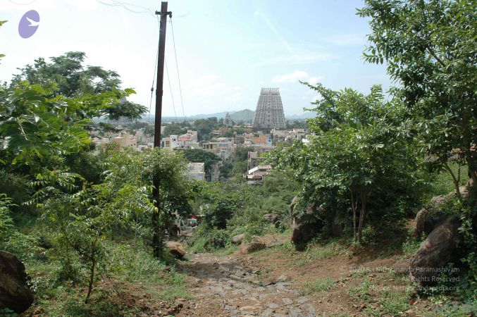 19890520 Photo 19 1EfCLVULonzut-1o6POTwu SQhtK23K4f.jpg