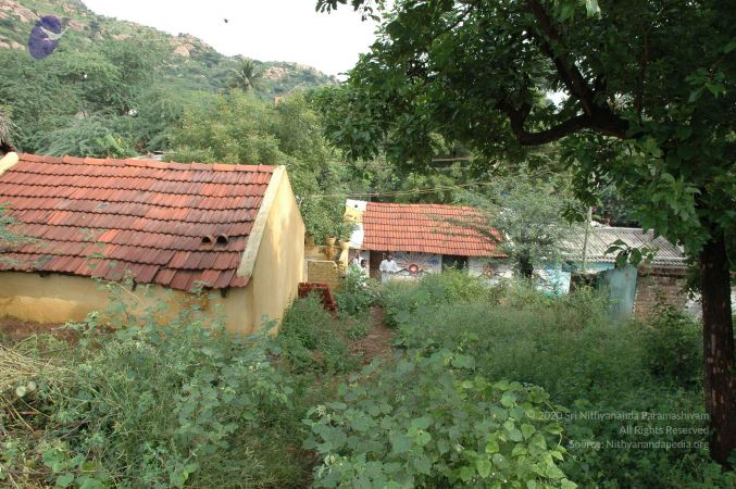 19890520 Photo 201 1WbDFg57KasDlxRHnmU96pe9O4Utn2D5n.jpg