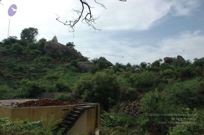 19890520 Photo 204 1geBMrp49JHgyNLjAiPbeHzwYnogH88Ji.jpg