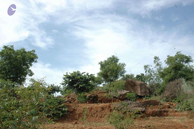 19890520 Photo 208 1M6I7I3uctuayi5bisMJ1T241eLUmf1sf.jpg