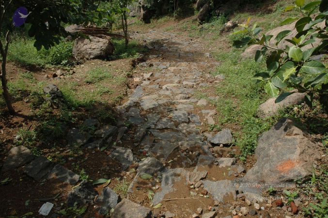 19890520 Photo 20 1Yh C3 vJLwckJFUXkzqYvHCwQgMf9eWa.jpg