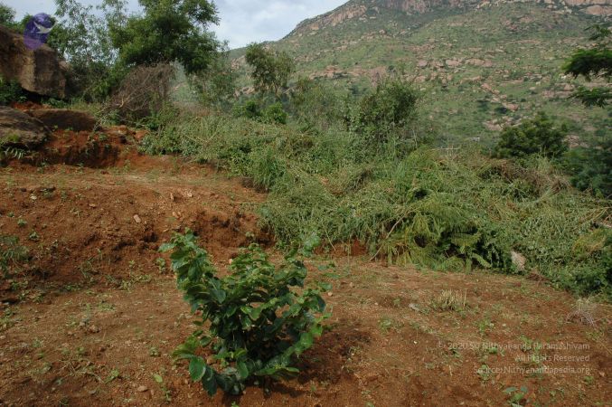 19890520 Photo 210 1WxhZNZ0j3jXIfz ZEG4C7gQz8LHcKW7s.jpg