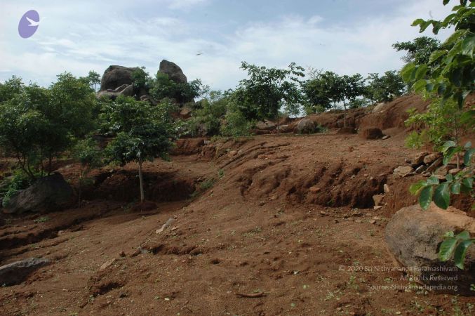 19890520 Photo 213 14eoxj17wY5nJnNu7Si4 VANbZX1VUjbz.jpg