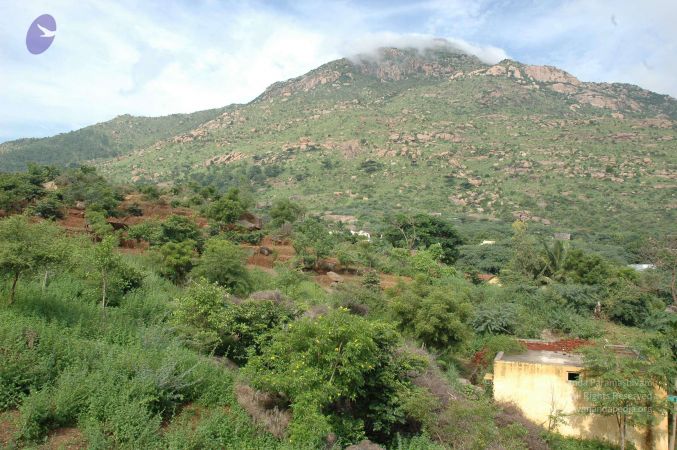 19890520 Photo 227 1r5panfUhpg04iazlnCGYkGAqP8UDrHsw.jpg