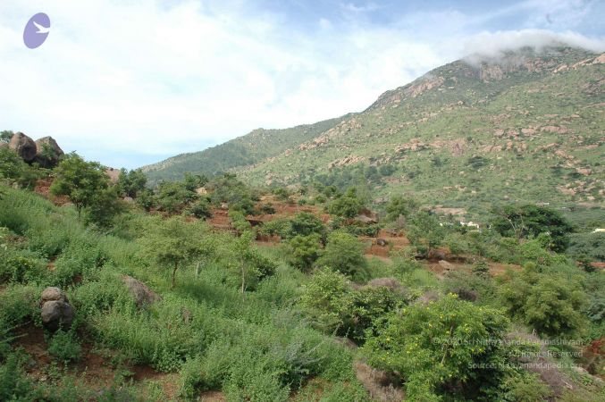 19890520 Photo 228 1dmrEo3mvTHt82c7oWVzqoAVjHbldve9i.jpg