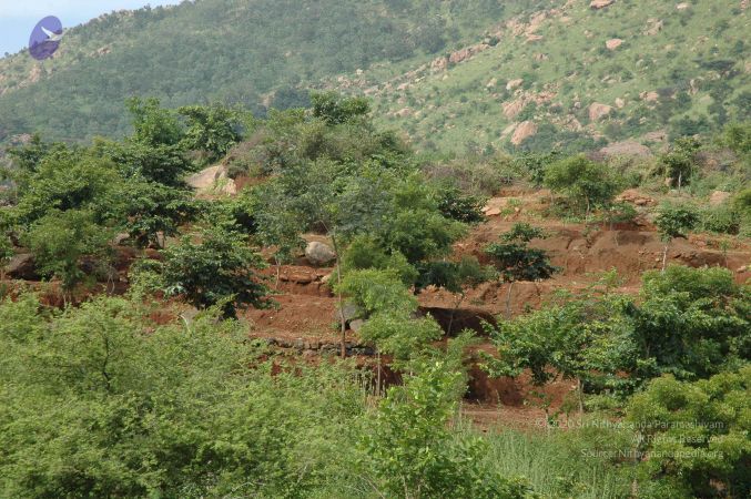 19890520 Photo 229 177KYaH-WF47kSwIMVTvDf0LtQnBhdwaz.jpg