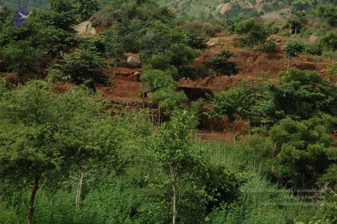 19890520 Photo 230 1D6WAtDiU4BBZuJneAGjgOMXyMi2Y A4-.jpg