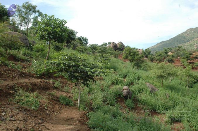 19890520 Photo 233 1GT2NEb QgJBOuXX6PGZTXolR65eGgsW8.jpg