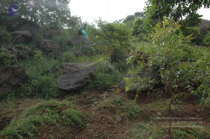 19890520 Photo 234 1a-ziTMJyZe9asB4kNG7URRCVTCYRt6mt.jpg