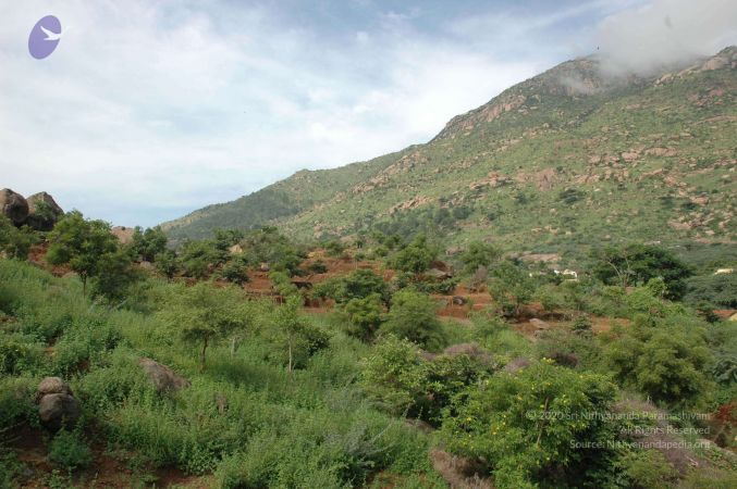 19890520 Photo 236 1JXunrACzEp3pg-kILuJVCdUifo2ER7ex.jpg