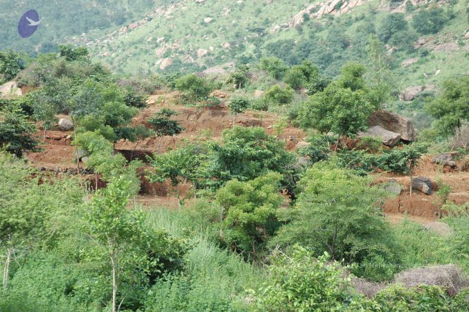 19890520 Photo 237 1Yqx1KT8o-haclXFjT0XArqmJIOQIKlhn.jpg