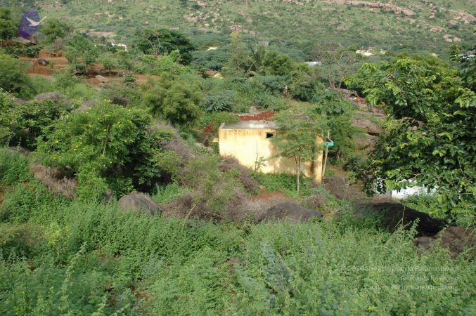 19890520 Photo 238 1etnDKOpXPMDKyTGU-loKtunEC3aGP02e.jpg