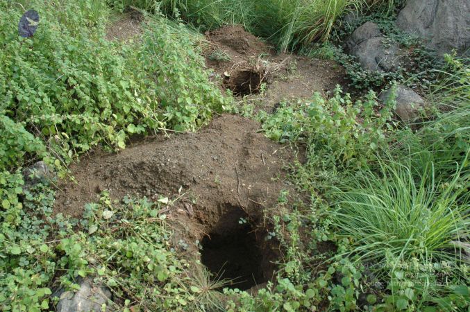 19890520 Photo 243 1fBUUUXDV eNUsbG2DlWQ6feggqOSL5m5.jpg