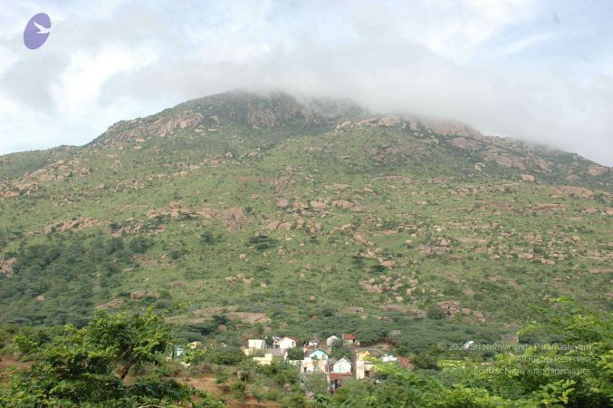 19890520 Photo 244 1-blNRWJ8hRtRgIGp7UsdQ321I8piVNef.jpg